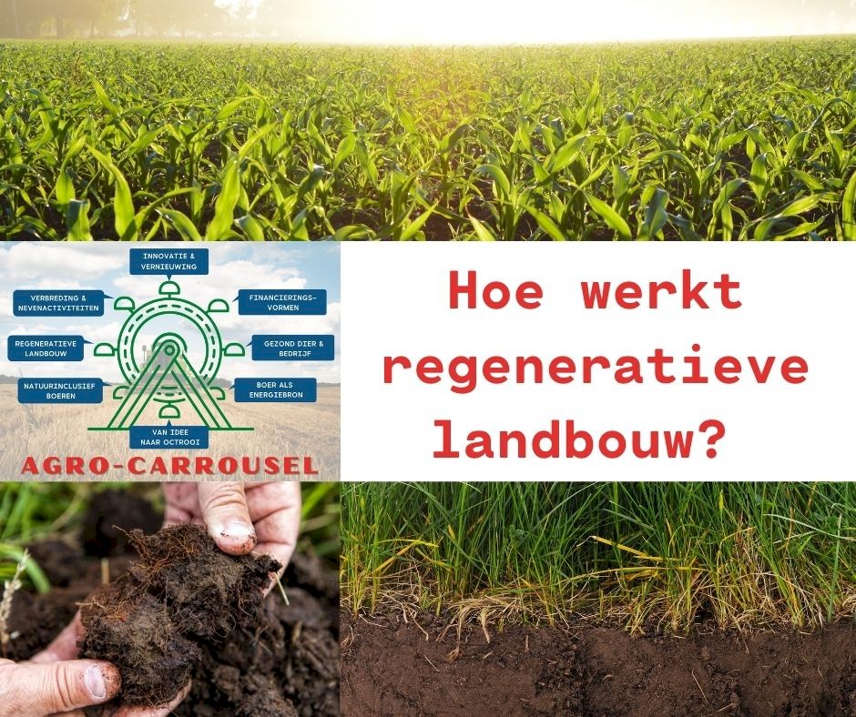 Hoe Werkt Regeneratieve Landbouw | Landbouwagenda | De Agenda Voor ...